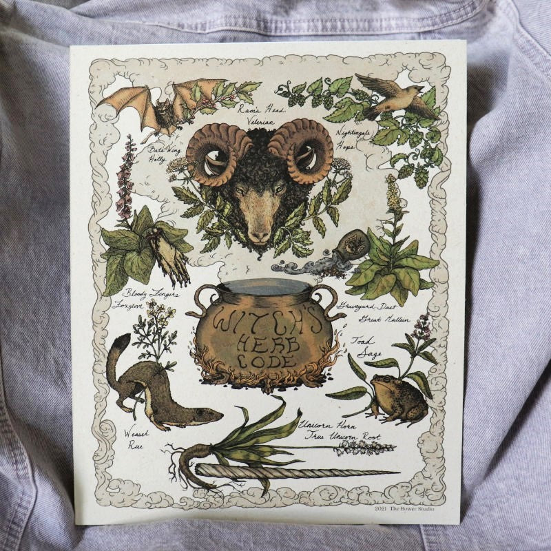 print featuring translations of ingredients used in witches brews