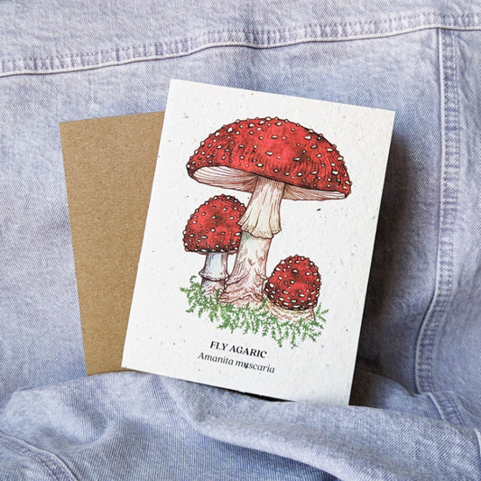 cool seed card featuring a fly agaric amanita muscaria mushroom