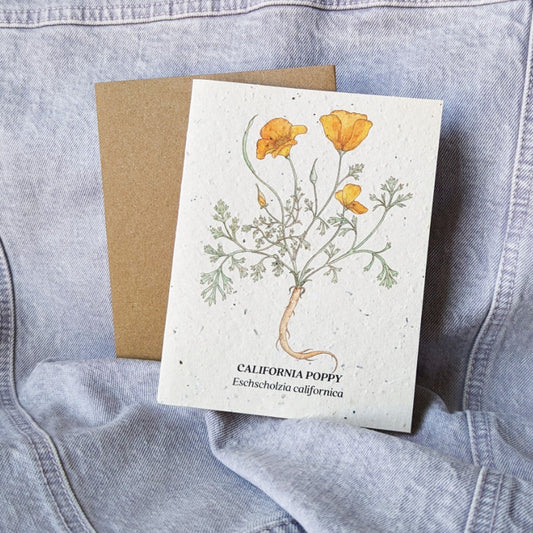 cool seed card featuring a california poppy eschscholzia californica