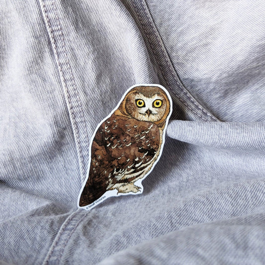 cute sticker of a northern saw-whet owl
