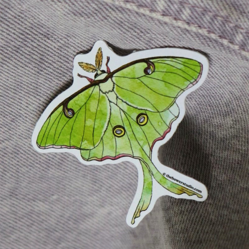 sticker featuring a realistic illustration of a luna moth