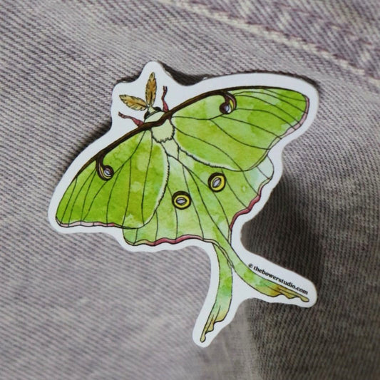 sticker featuring a realistic illustration of a luna moth