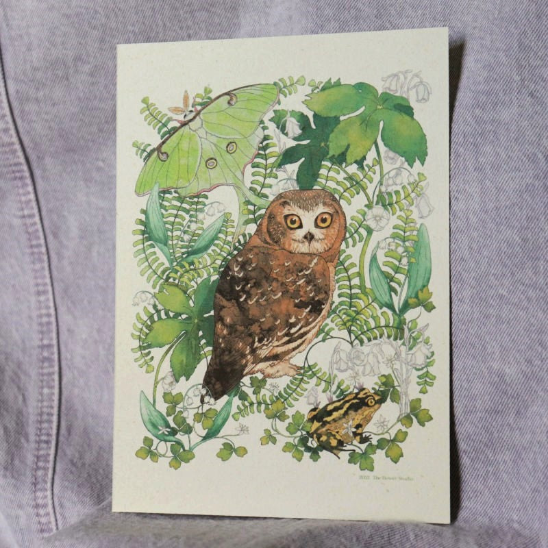 print of an owl surrounded by forest plants and a luna moth